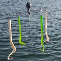 Steve McVay-Fishing Guide